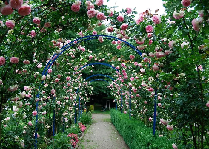 Appartement Le Mundhome - Grand Equipe - Strasbourg Eurometropole *