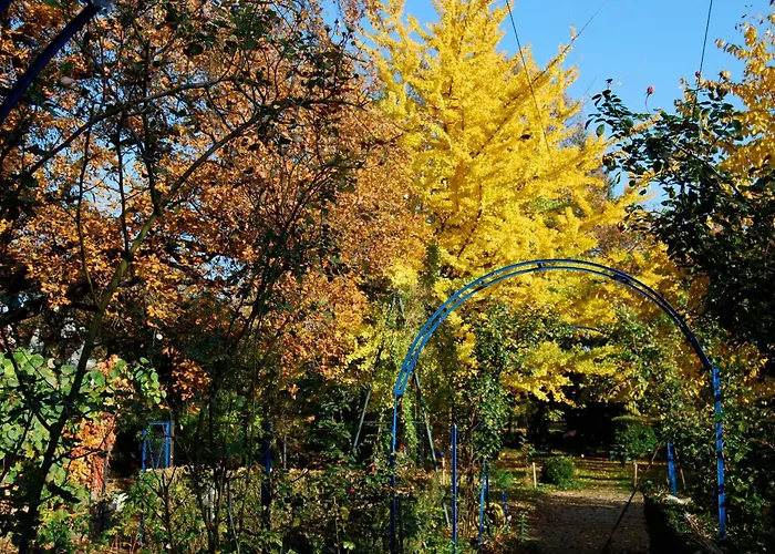 Le Mundhome - Grand Equipe - Strasbourg Eurometropole *